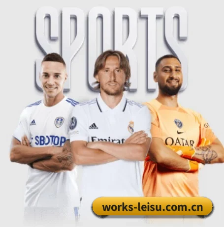 works-leisu.com.cn的方向